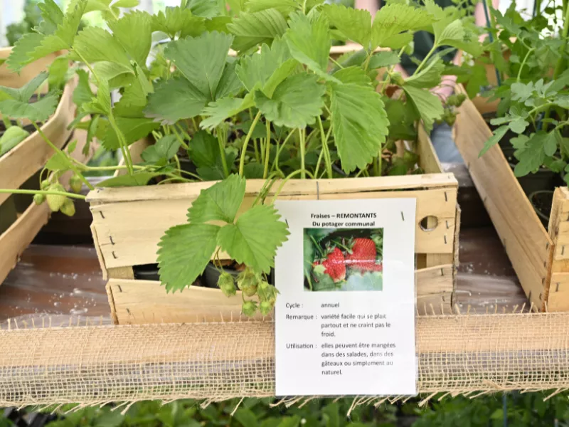 Faites du jardin ! 2025 en images