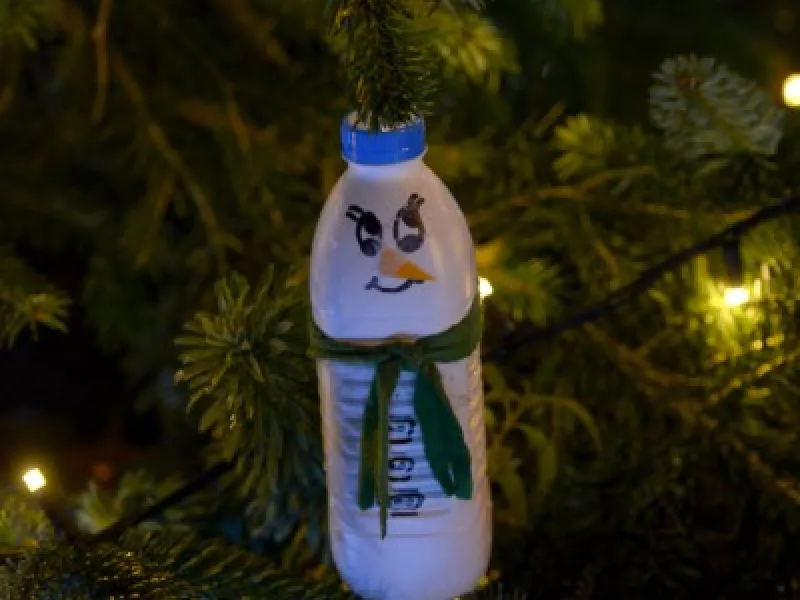 Sapins de Noël de Lancy