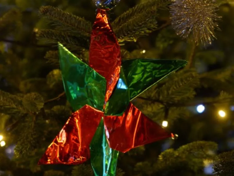 Sapins de Noël de Lancy