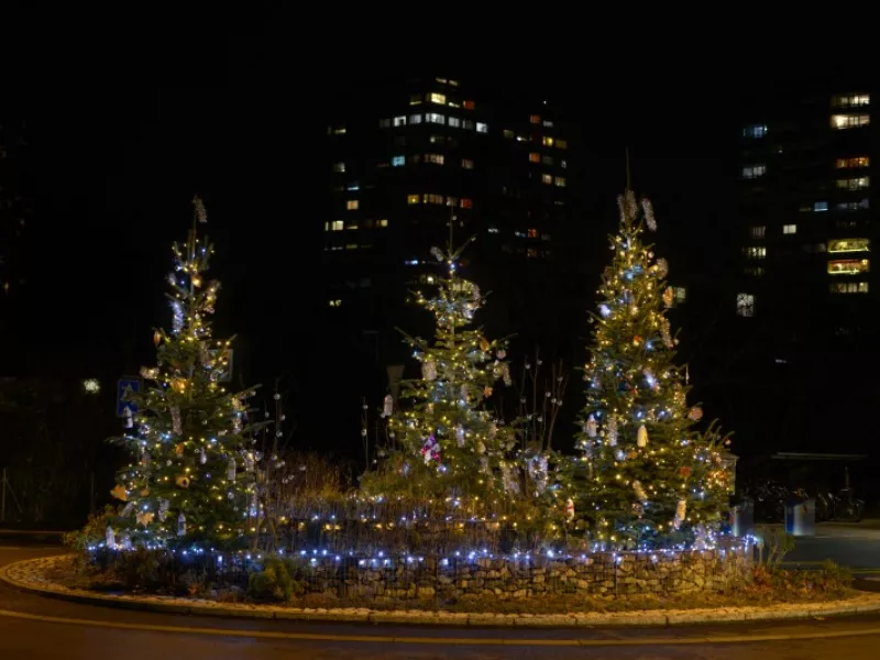 Sapins de Noël de Lancy