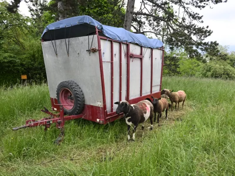 Faites du jardin ! en images