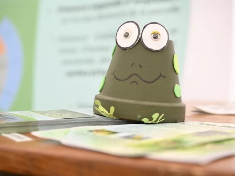 Faites du jardin ! en images