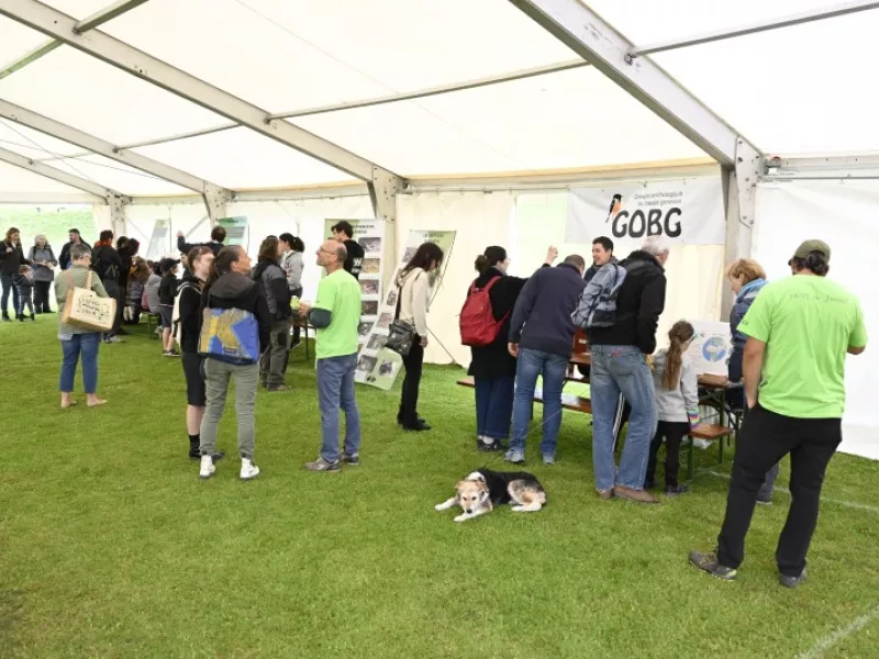 Faites du jardin ! en images