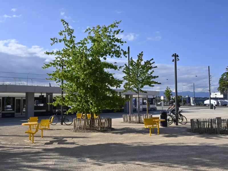 La place haute du Bachet-de-Pesay et l'épicerie "du Local" en images