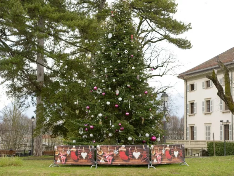 Sapins de Noël de Lancy