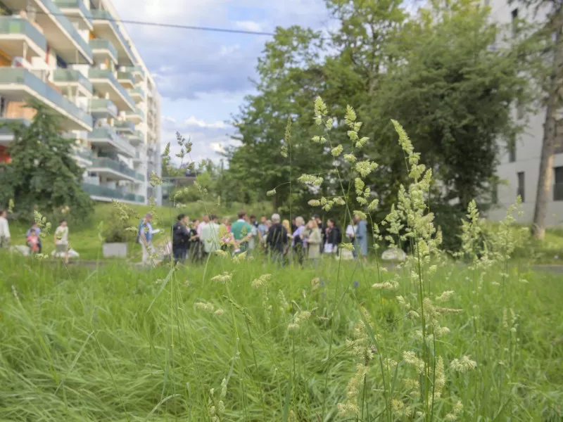 Brochure d'accueil