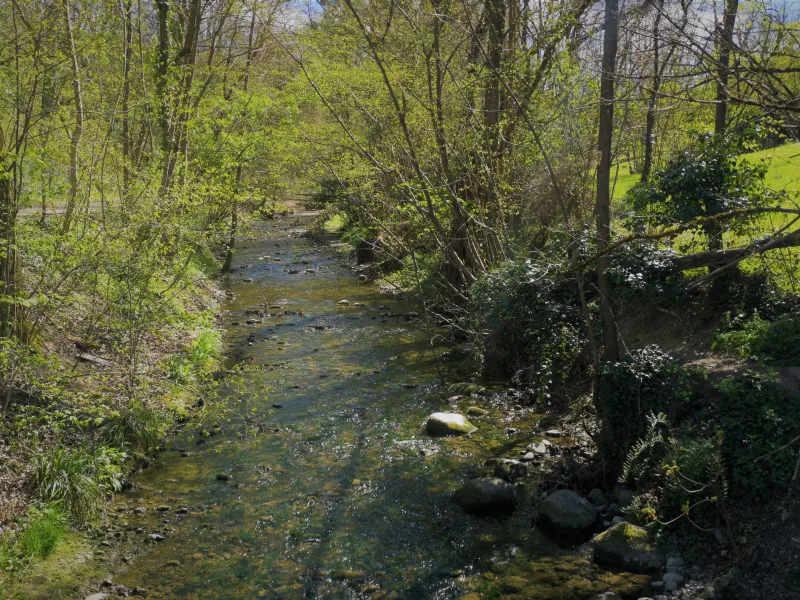 [Partenariat] Préserver le Vallon de l’Aire: un engagement fort entre le canton et les communes