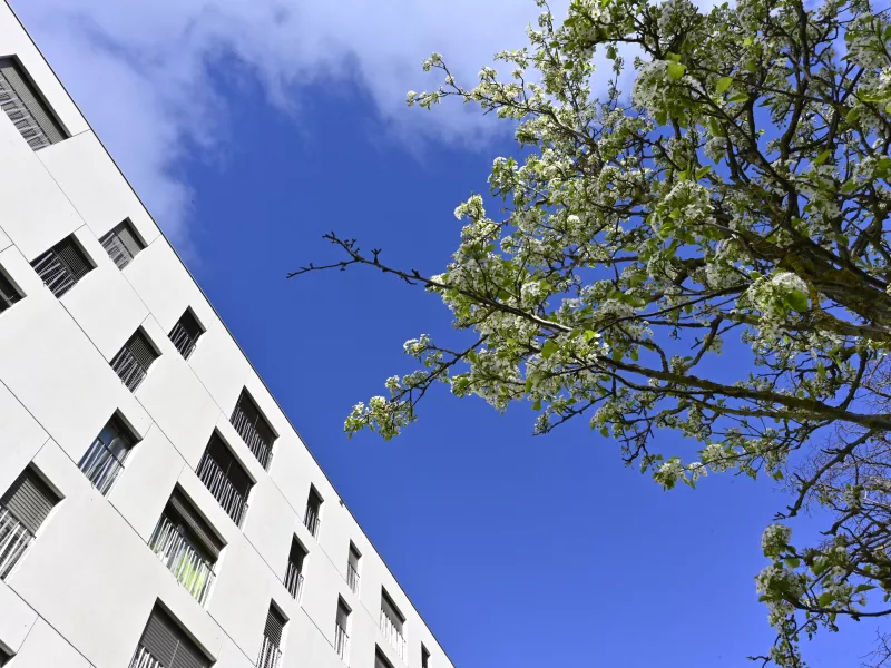 Webinaires sur la transition énergétique des PPE