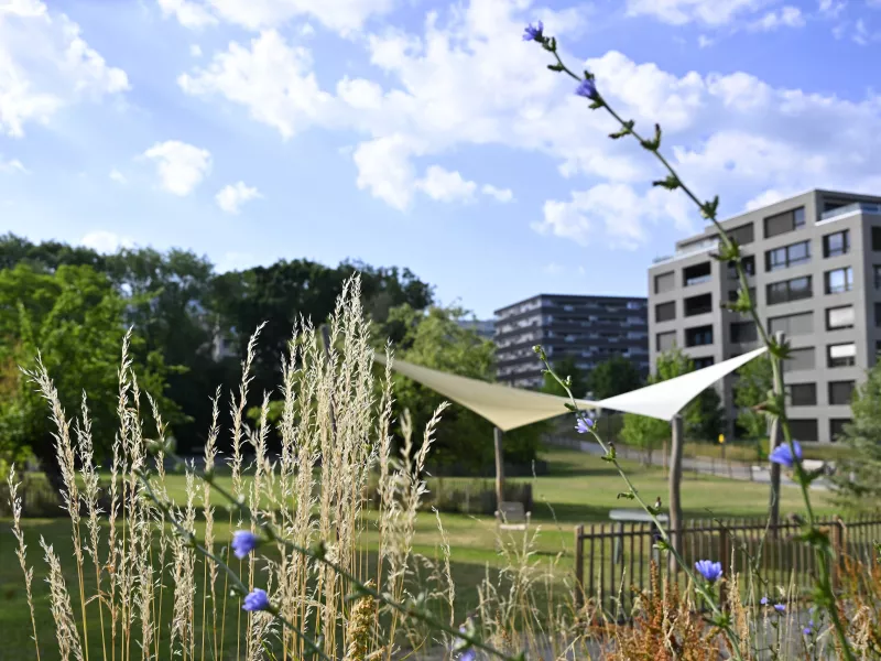 Plan Climat Lancy