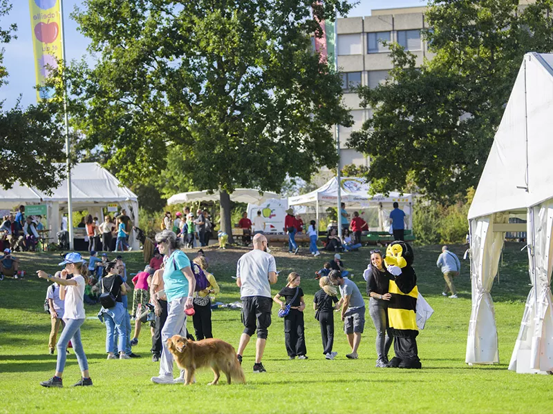 Fête de l’Abeille et du Terroir