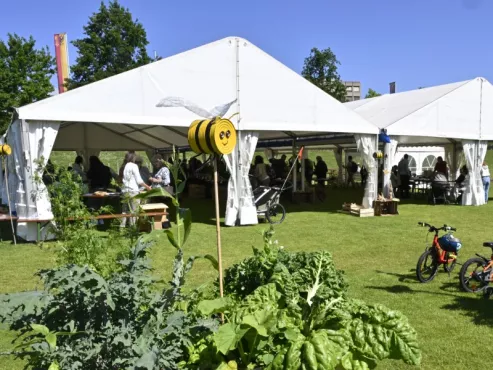 Faîtes du jardin!