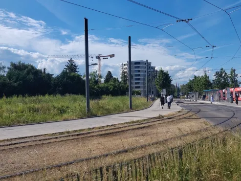 Pépinière urbaine aux Palettes