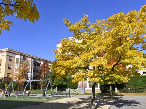 Contrat de quartier Les Mouilles-La Caroline