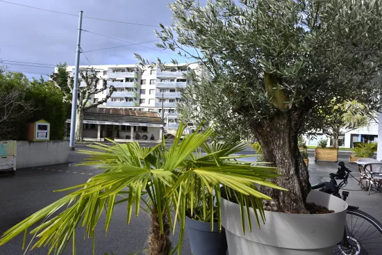 Démarche participative du quartier des Marbriers