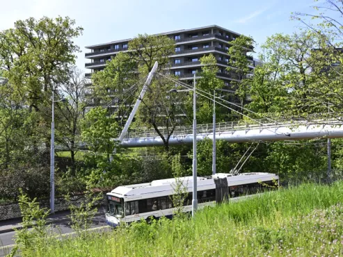 Nuisances dans les espaces publics