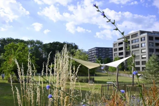 Plan Climat Lancy