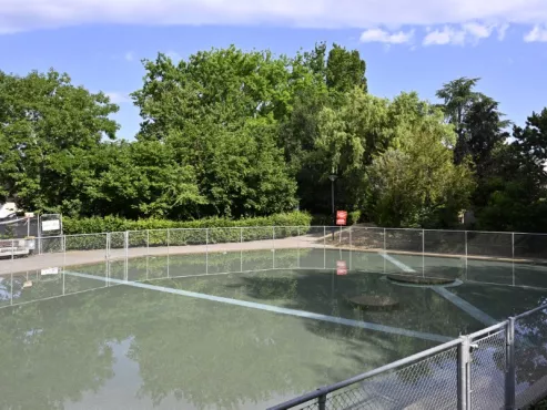 Pataugeoire des Palettes