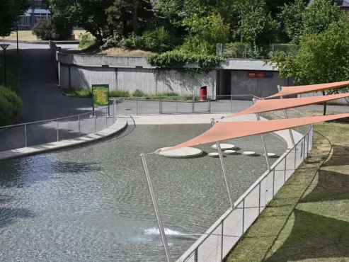 Pataugeoire du Bachet