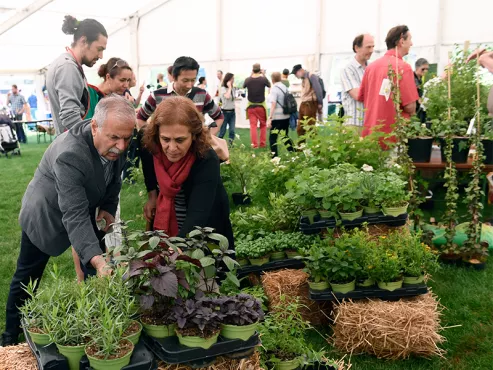 Faîtes du jardin! Faîtes du jardin!