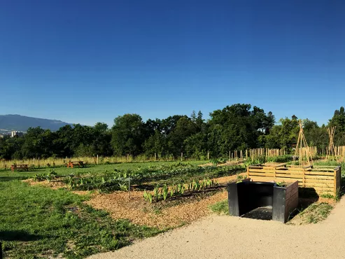 Potager communal Potager communal