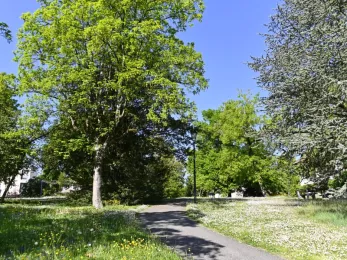 Environnement et espaces verts