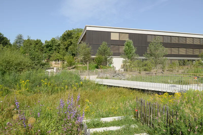 Le parc et l’école de Pont-Rouge: plantation et gestion de l’eau