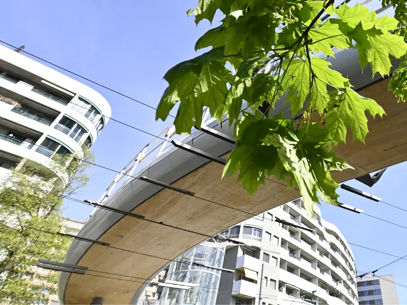 Passerelle de La Visiteuse