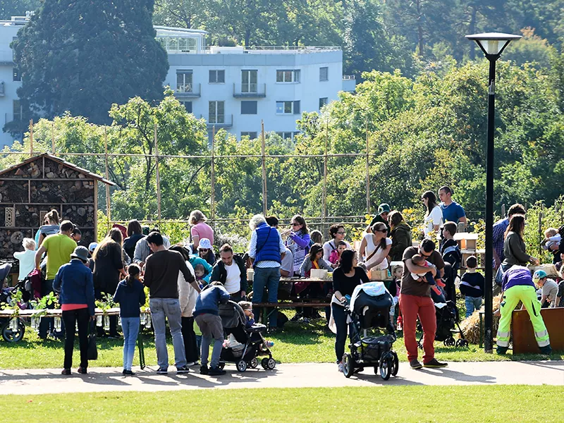 fete de l'abeille 