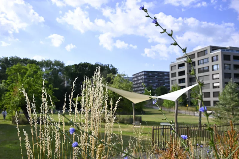 Plan Climat Lancy